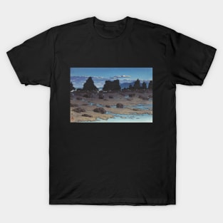 Hashikui Rock at Kushimoto by Kawase Hasui T-Shirt